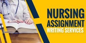 Nursing Assignment Writing Service